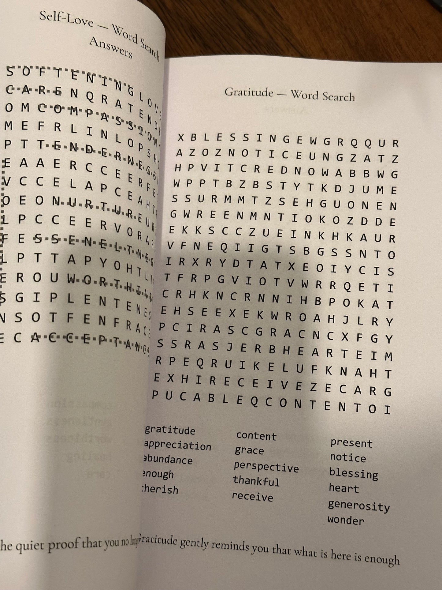 Stress Relief Word Search for Adults
An Emotional Intelligence & Calming Word Search Book